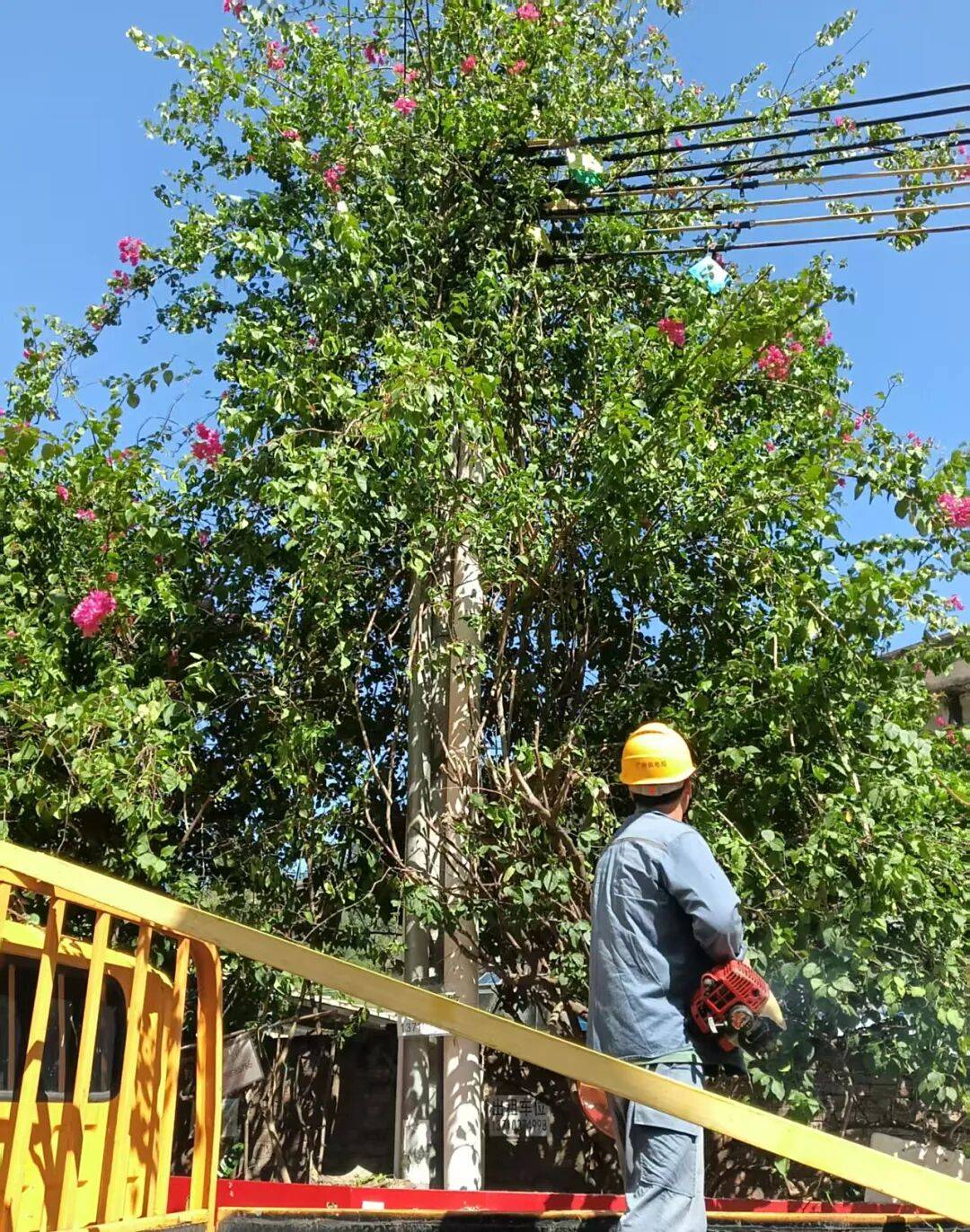 “桦加沙”同心护南沙→AG真人国际游戏防御(图9)