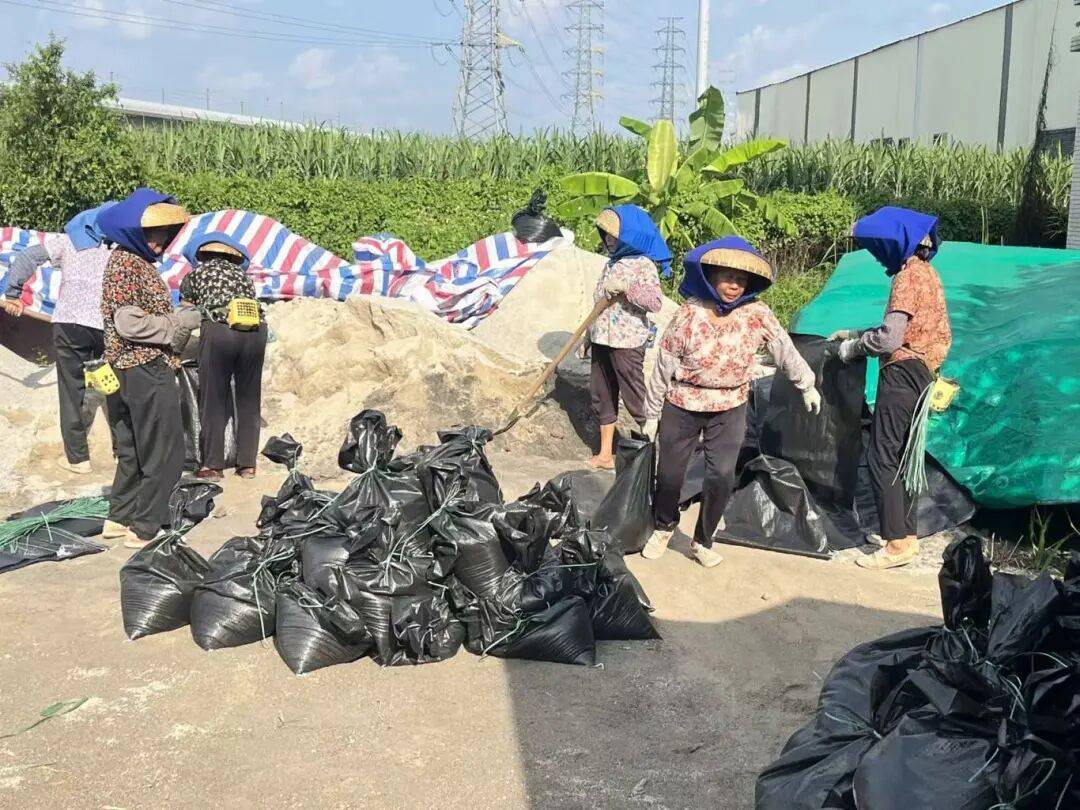 “桦加沙”同心护南沙→AG真人国际游戏防御(图12)