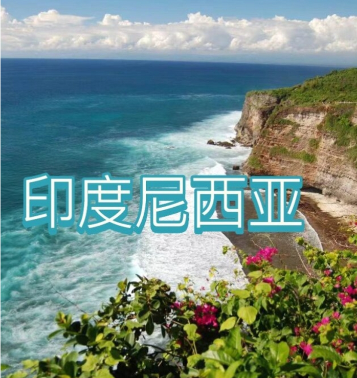 国际电商(印尼)产业博览会AG真人直营2025中国