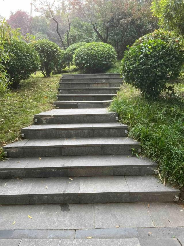 园适老化方面这些做得还不错但还有改进空间AG真人平台华商报记者走访了12座城市公(图3)