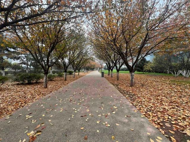 园适老化方面这些做得还不错但还有改进空间AG真人平台华商报记者走访了12座城市公(图23)