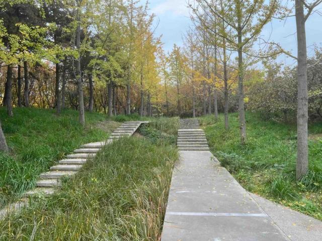 园适老化方面这些做得还不错但还有改进空间AG真人平台华商报记者走访了12座城市公(图16)