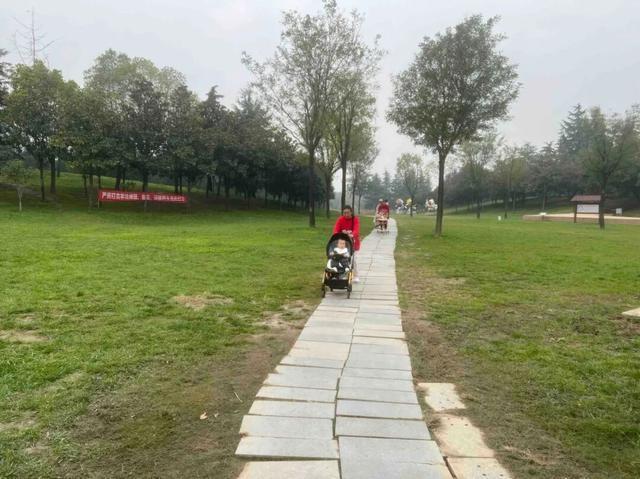 园适老化方面这些做得还不错但还有改进空间AG真人平台华商报记者走访了12座城市公(图20)