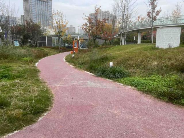 园适老化方面这些做得还不错但还有改进空间AG真人平台华商报记者走访了12座城市公(图29)