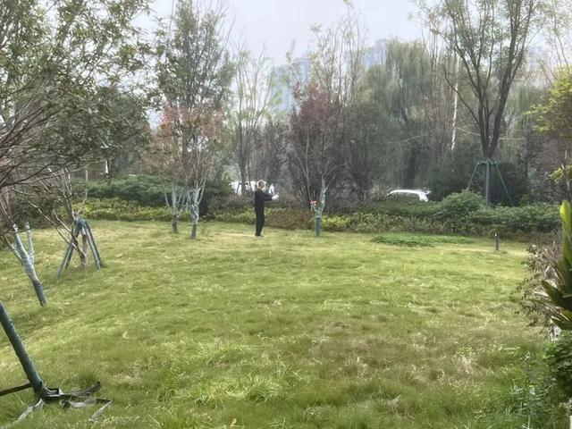 园适老化方面这些做得还不错但还有改进空间AG真人平台华商报记者走访了12座城市公(图28)