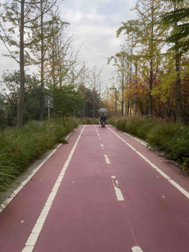 园适老化方面这些做得还不错但还有改进空间AG真人平台华商报记者走访了12座城市公(图35)