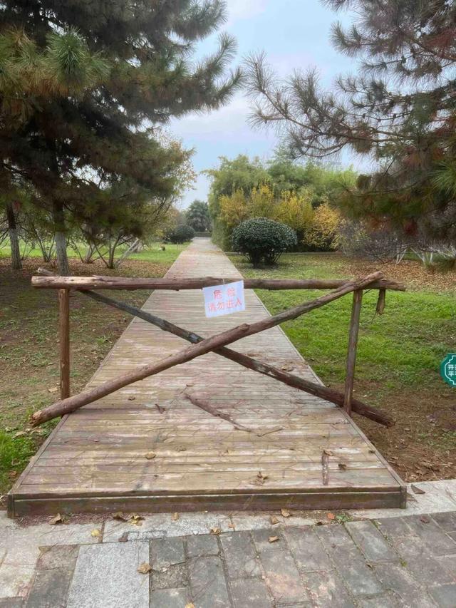 园适老化方面这些做得还不错但还有改进空间AG真人平台华商报记者走访了12座城市公(图36)